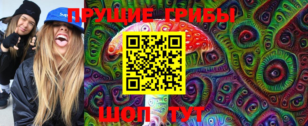 Галлюциногенные грибы Psilocybe Конаково
